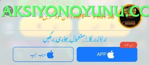 winpkr interface sample